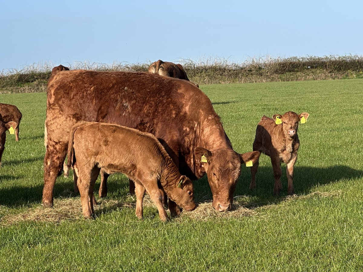 James Wright tweet media