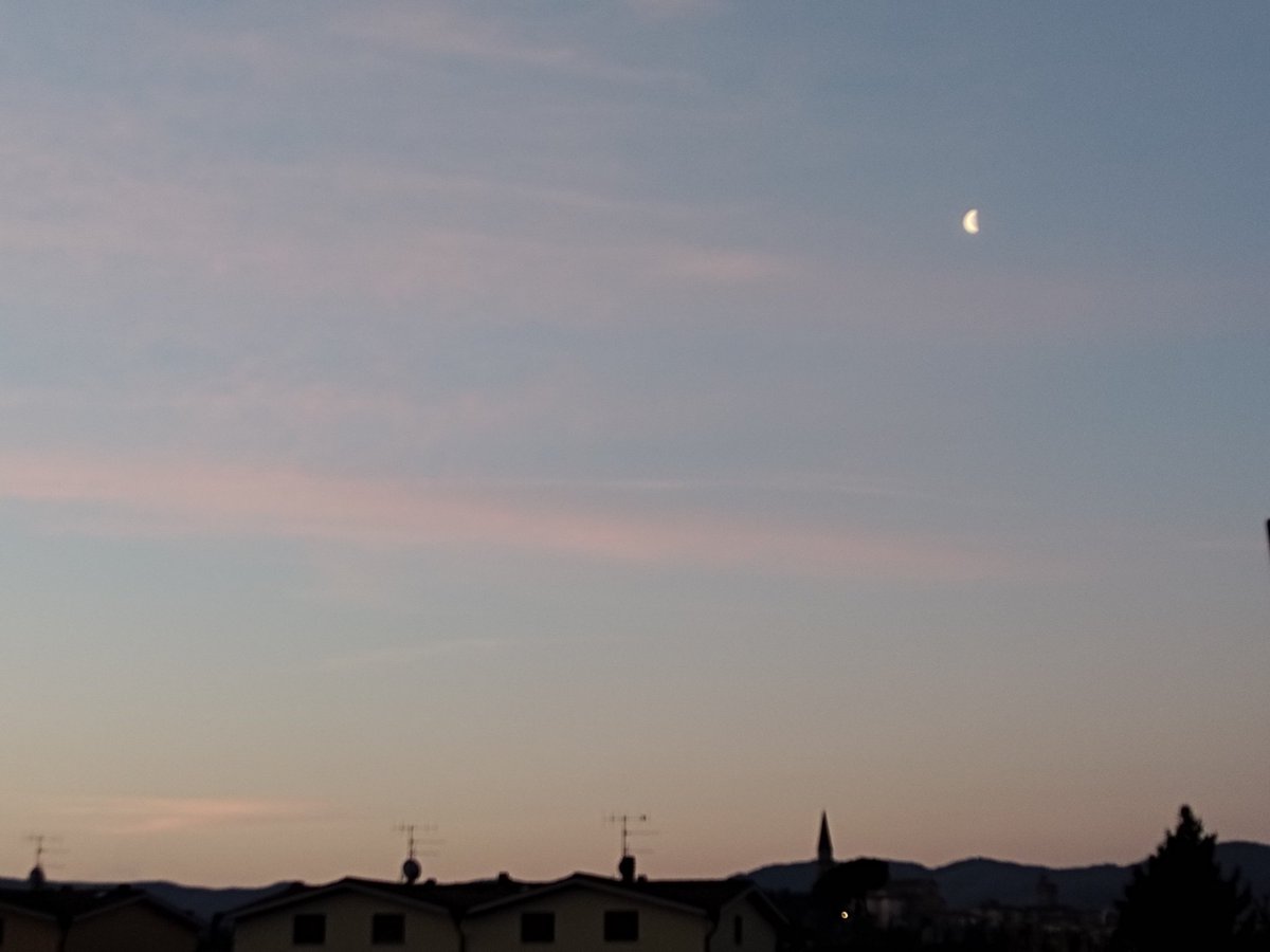 Nicoletta Regimenti tweet media