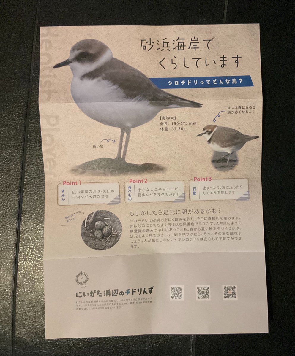 寺泊水族博物館【公式】 tweet media