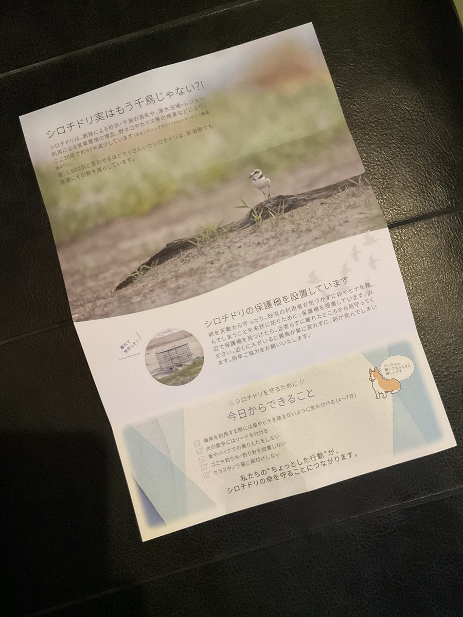 寺泊水族博物館【公式】 tweet media