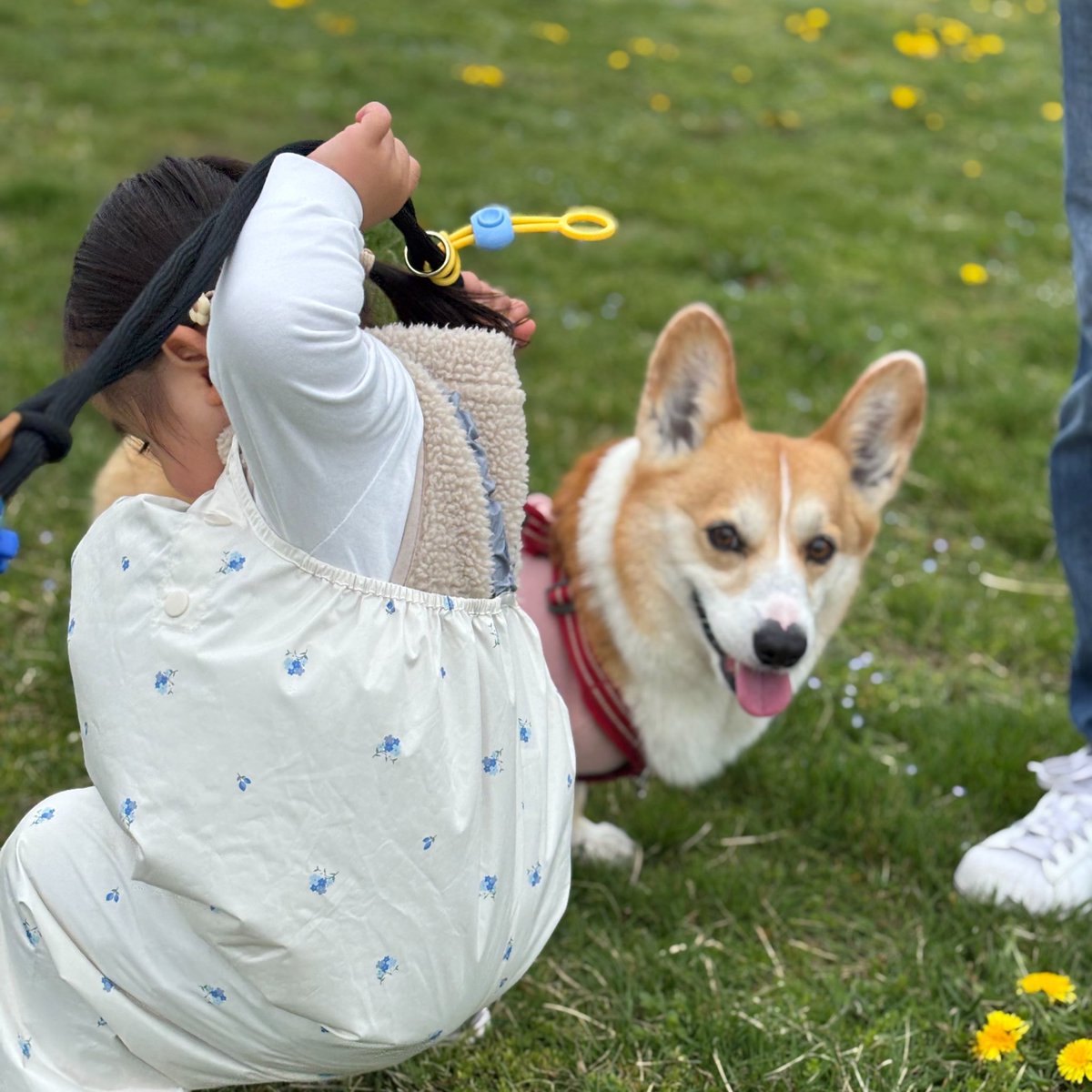 ひなた🐶 tweet media