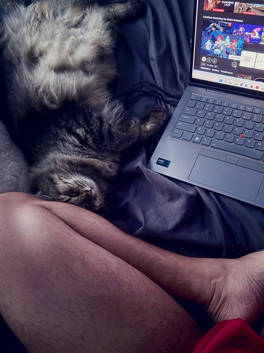 Tsuji Ryuu ✈️ tweet media