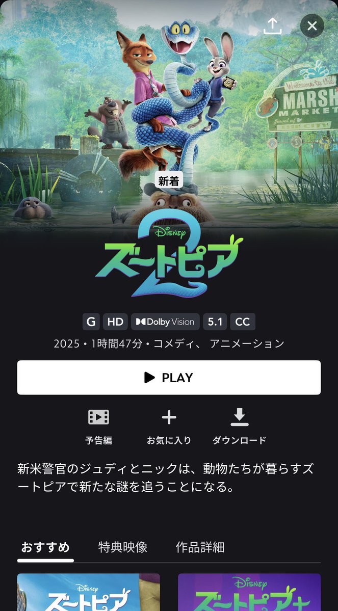 🦊うみ🐰 tweet media