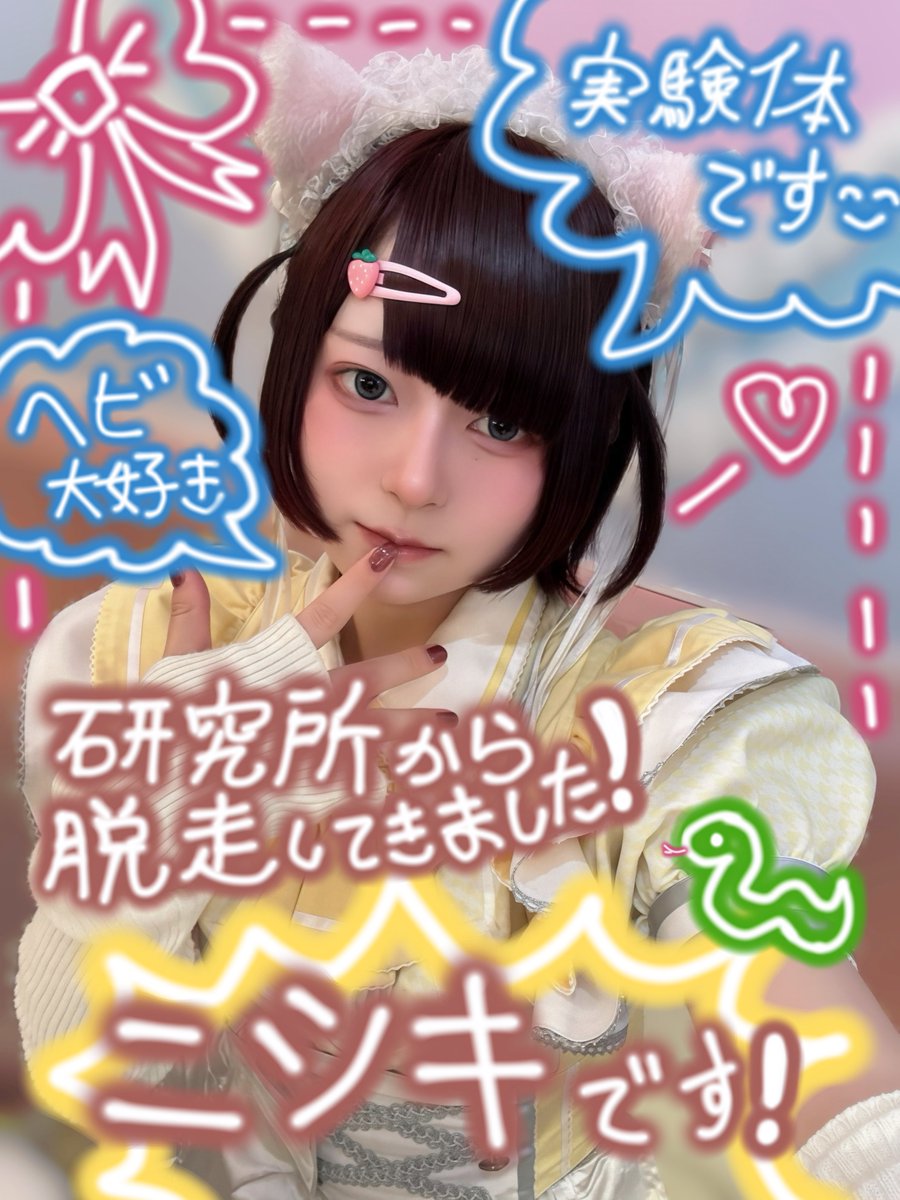 ニシキ🐍 tweet media