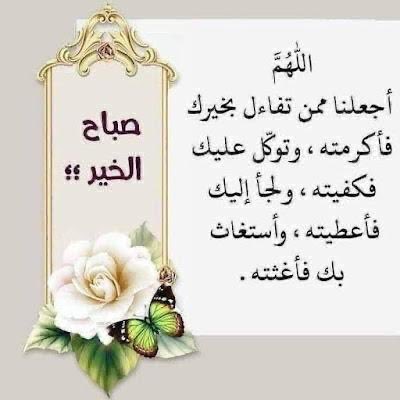 محمد الهاجري (@malbajjash) on Twitter photo 