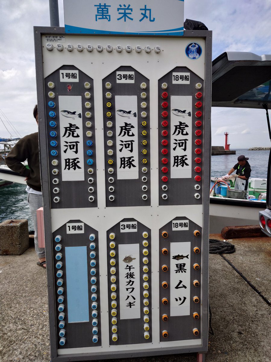 はくさい🐶釣り垢🎣 tweet media