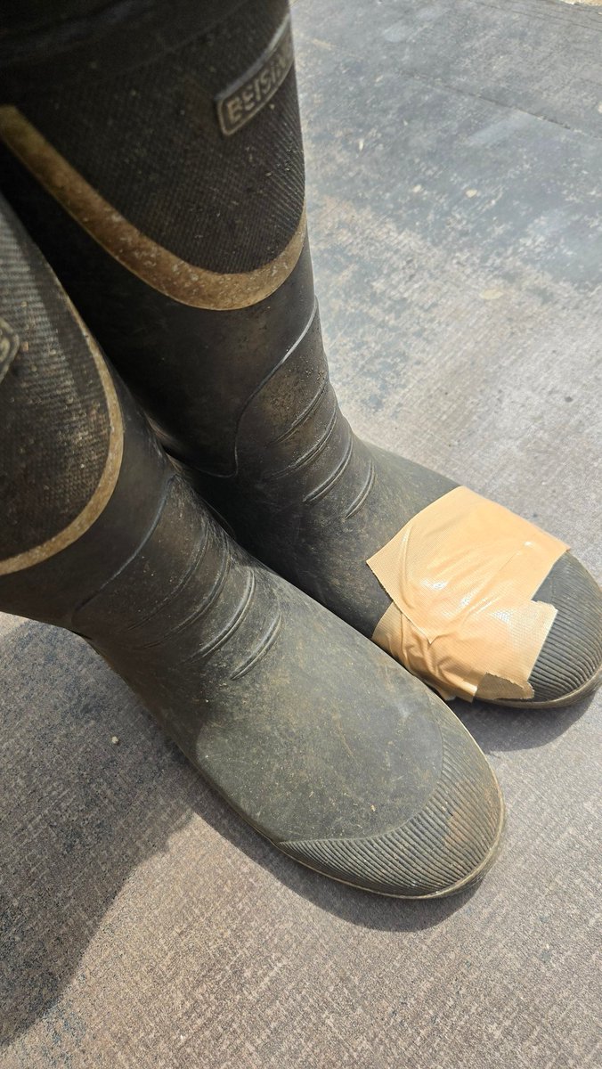 ITAMUROキャンプ場～リターンな日々～ tweet media