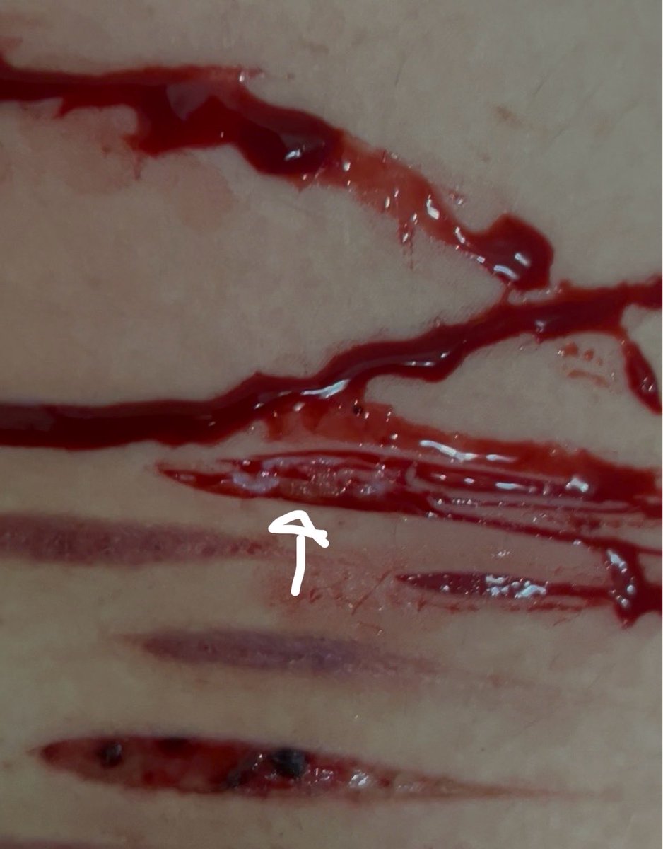 ⤷ ゛𝘳𝘰𝘣𝘺𝘯 ⋮ ⌗ ┆ tweet media