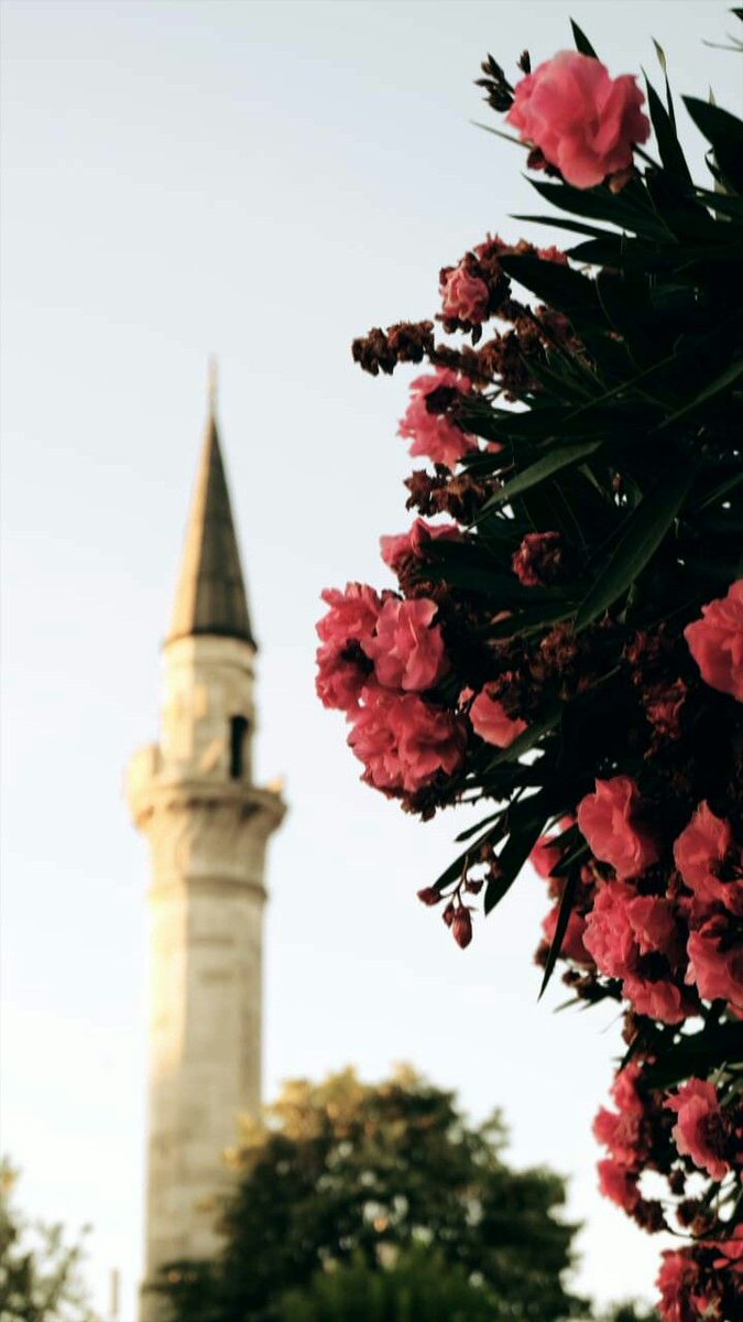 🇹🇷Ehl-i Sünnet Yolu🇹🇷#DuaOrdusu tweet media