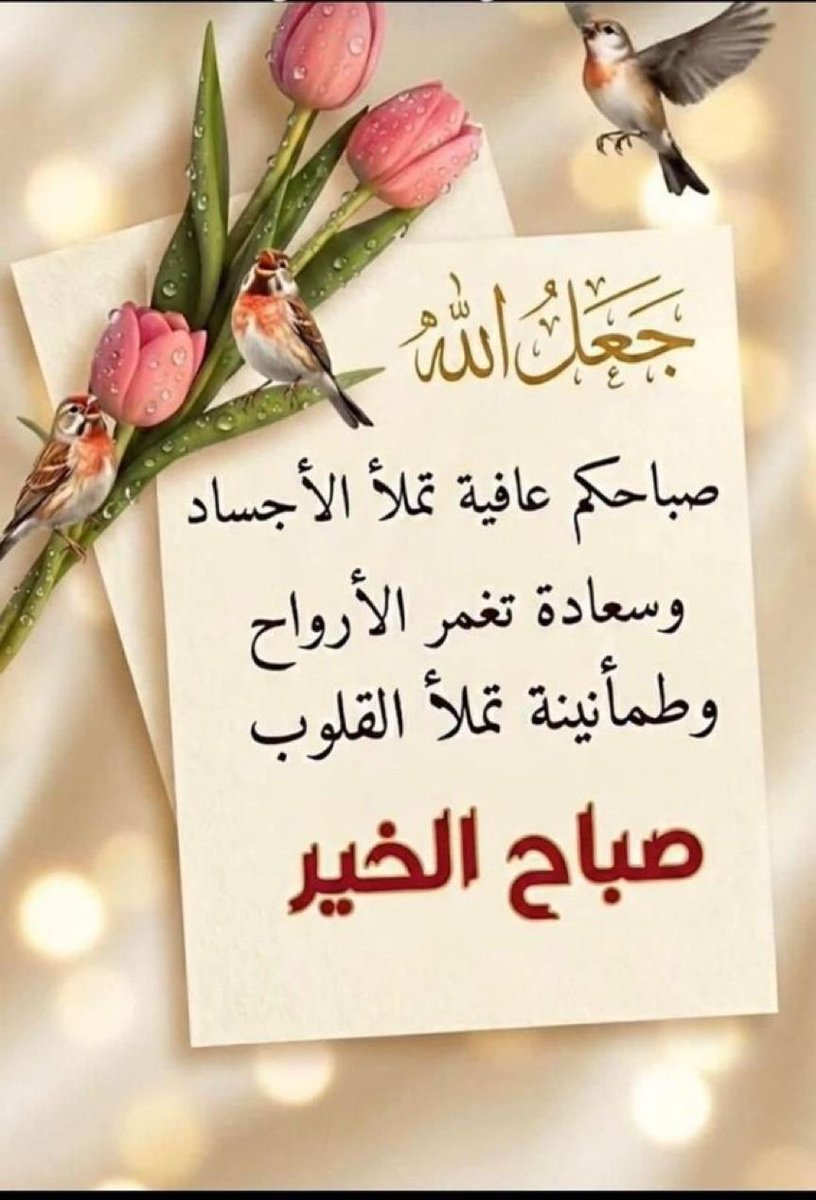 رباح ابوعلي tweet media