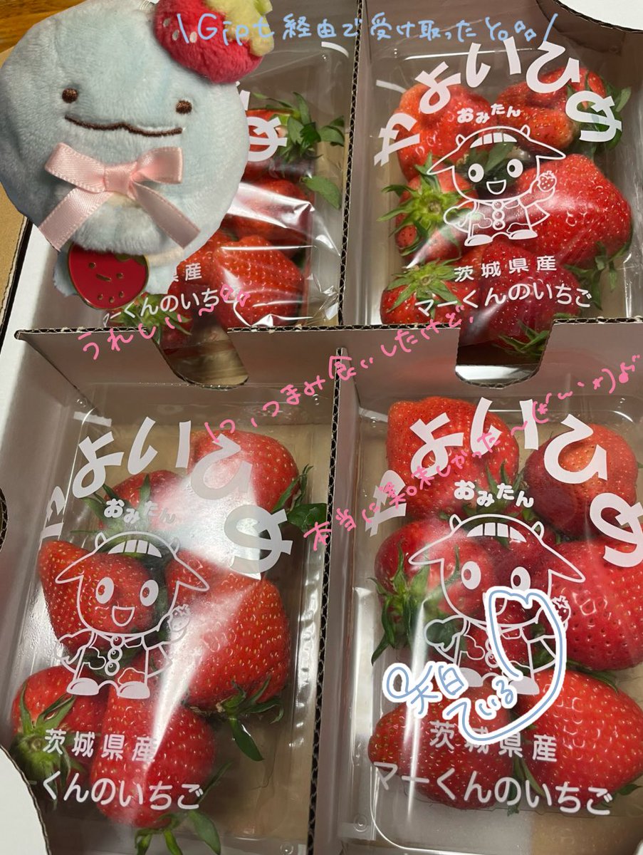 天白 ているε💭з@新人VTuber tweet media