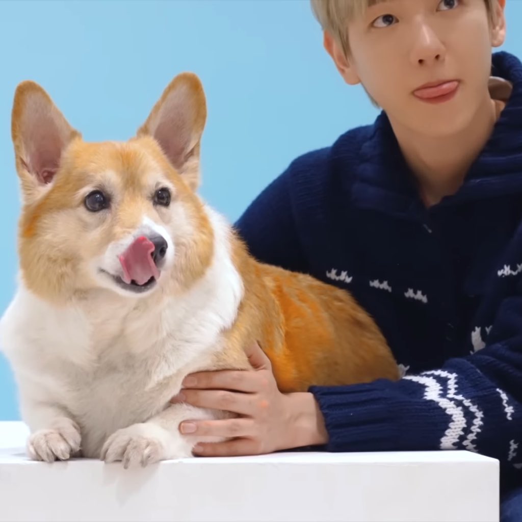 🐾                                   형제                                    🐶