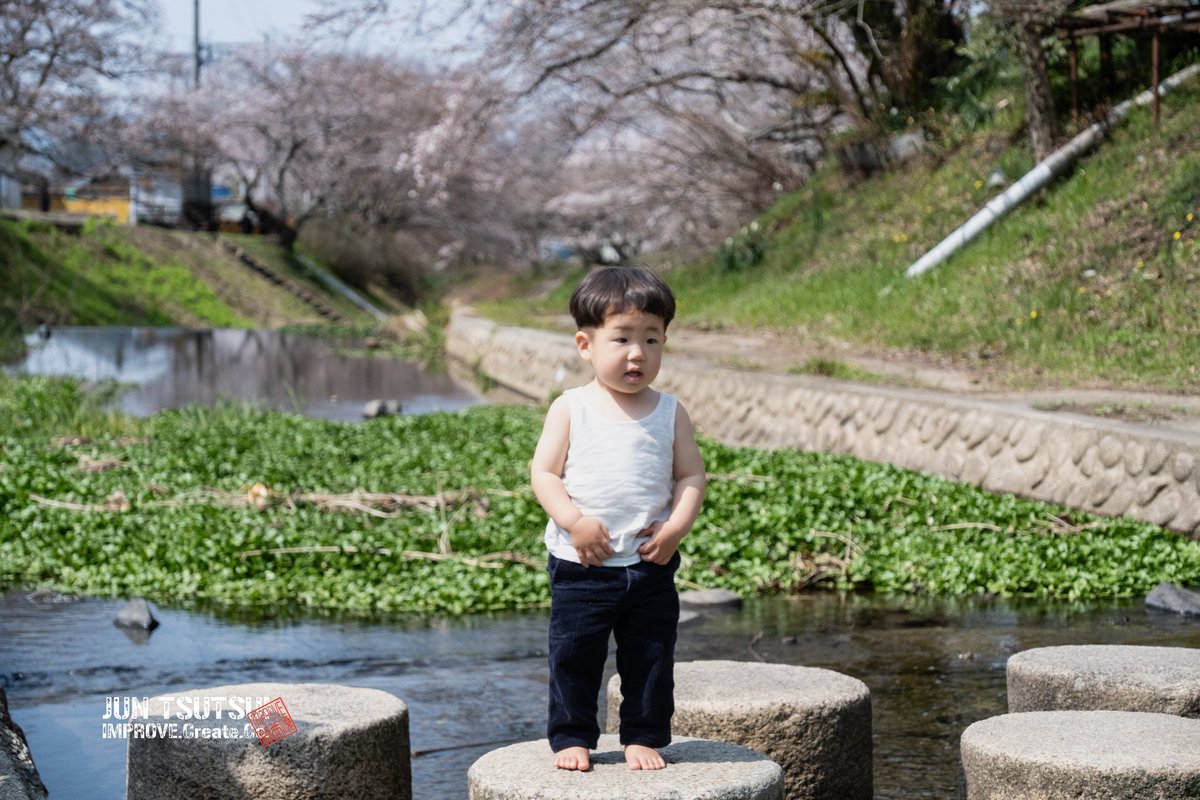 junjun_imp's tweet image. 結くんと玉川堤散歩

#camera #子ども #親バカ部 #子どものいる暮らし #子育て