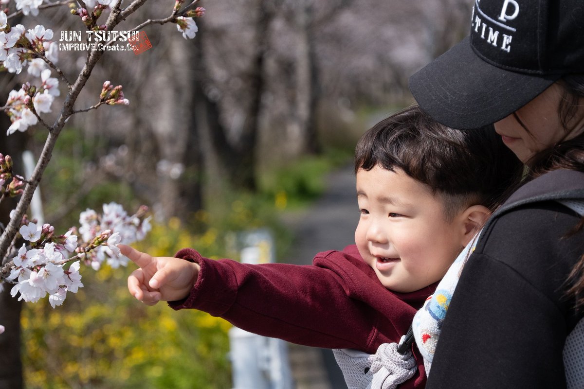 junjun_imp's tweet image. 結くんと玉川堤散歩

#camera #子ども #親バカ部 #子どものいる暮らし #子育て