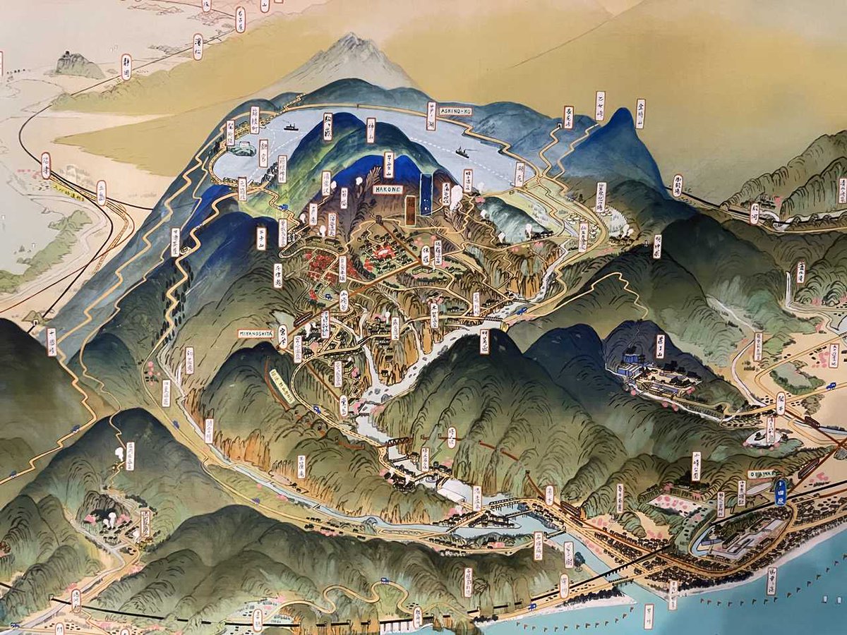 神奈川県立生命の星・地球博物館【公式】 tweet media