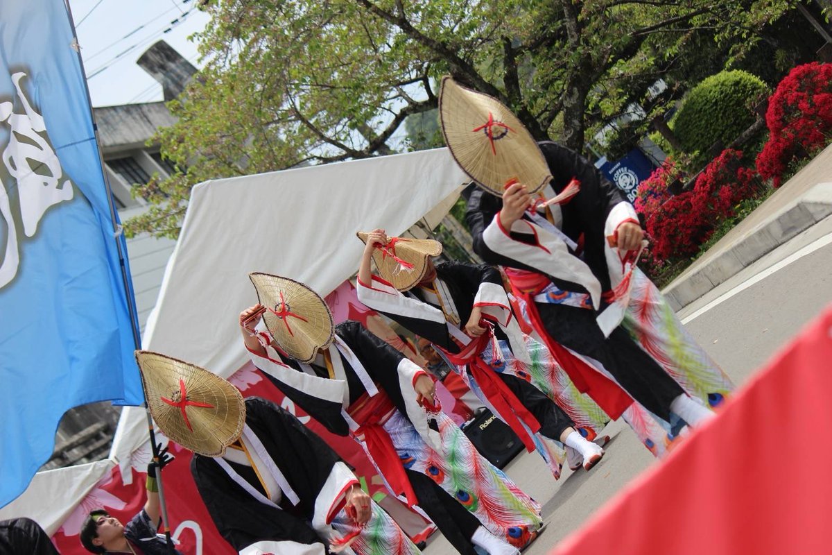 hiradosyachu's tweet photo. 2026.04.12🌸#よかばいyosakoi来てみん祭　in #諫早つつじ祭り

自然豊かな公園に癒され
はっちゃける踊り子の皆さんにパワーを貰い
可愛いすぎるキッズステージにまた癒され❣️

#多良見yosakoi楽踊連 さんの勢いのある新曲は、楽しくて美しくてかっこよくて素敵でした🌟
ありがとうございました！ https://t.co/sHe0dqZ47N