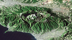 神奈川県立生命の星・地球博物館【公式】 tweet media