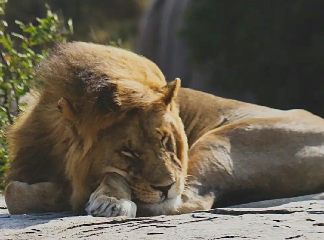 Philose 🦭 tweet media