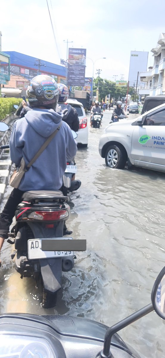 clairey🦕 tweet media