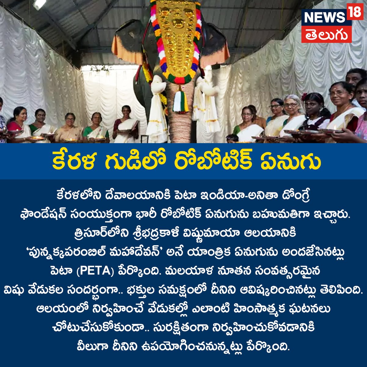 News18Telugu's tweet image. కేరళ గుడిలో రోబోటిక్‌ ఏనుగు..
#kerelam #roboticelephant #peta