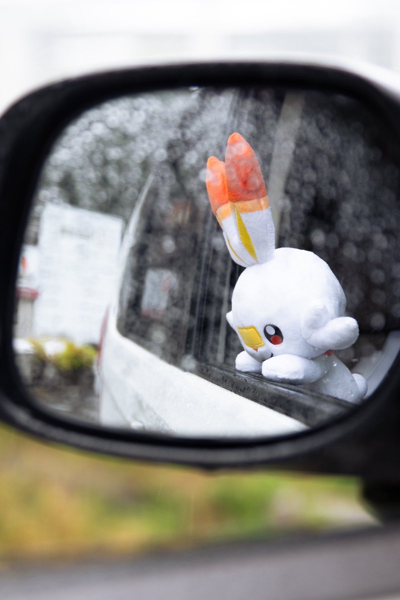 ばにさん tweet media