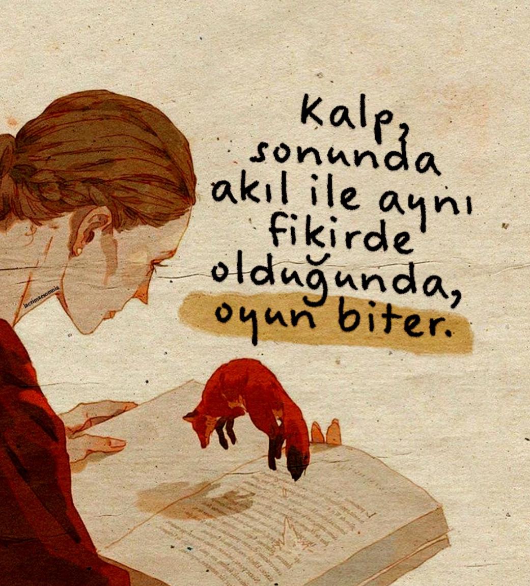 lacrimaesomnia's tweet photo. https://t.co/HVobll14g0