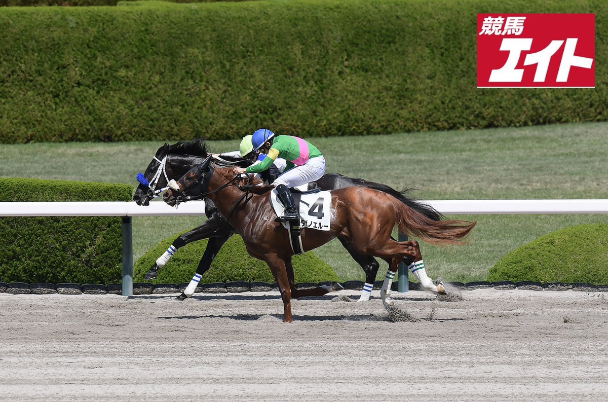ノリタケ　競走馬 谷潔調教師は カラクニダケが宮崎県産馬8年ぶりの新馬勝ち 工芸品