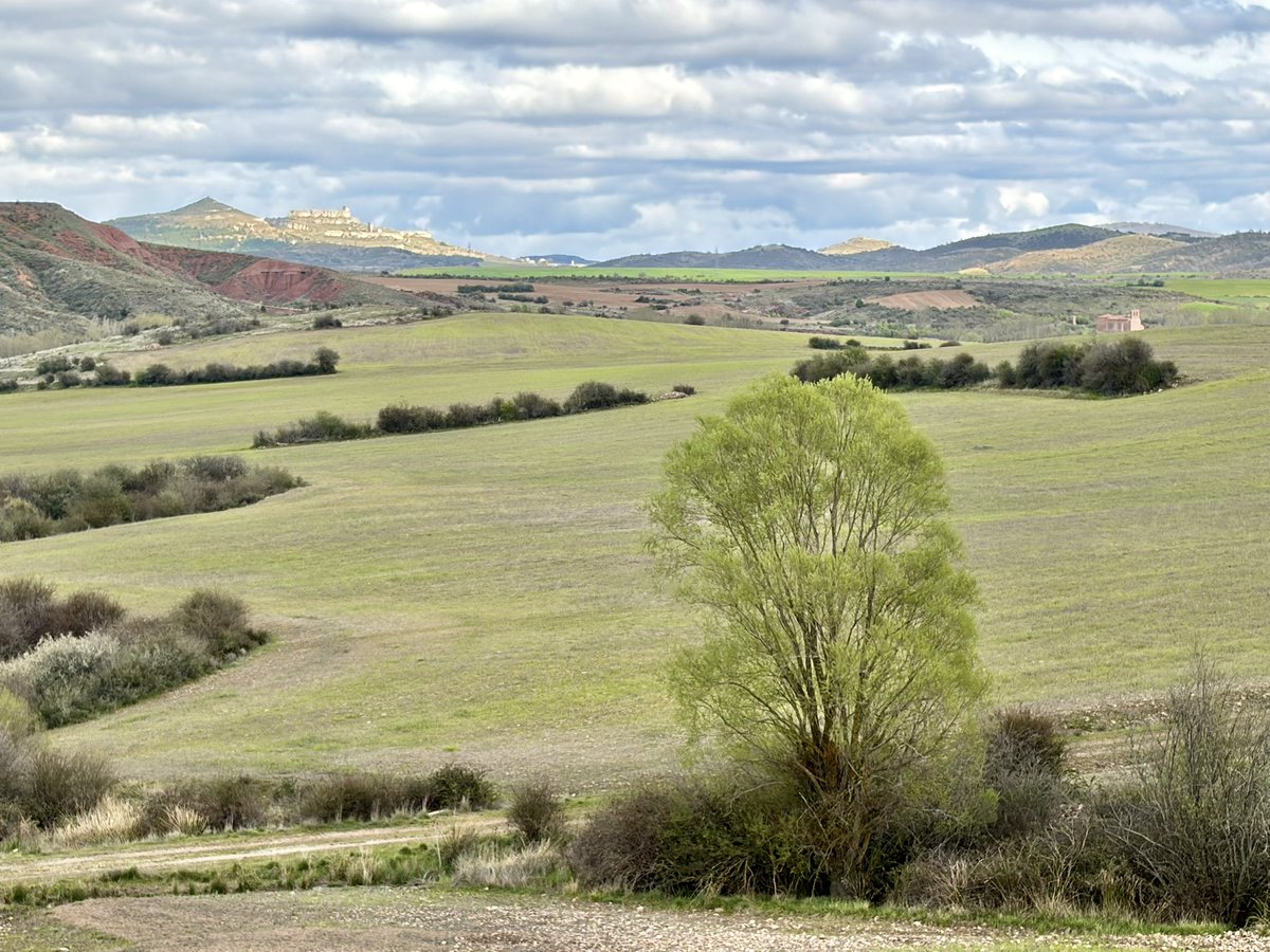 nachoramosc's tweet image. Guadalajara. #Castilla