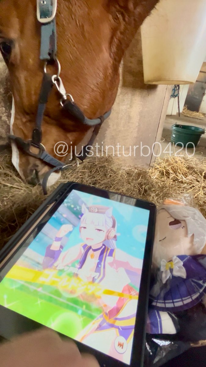 GOGOターボさん（ジャスティンターボ） tweet media