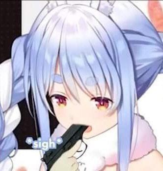 みこぴー35P🌸 tweet media