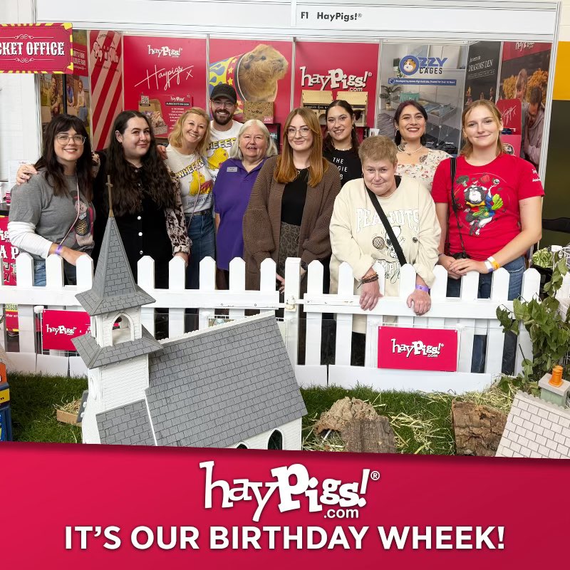 haypigs's tweet photo. Itโs our business birthday! ๐น๐๐ฅณ HayPigs! is 9 today! Whoop! ๐๐ป What a journey! ๐คฏ Thank you to each and every one of you that has shown us such love, support and kindness over the years, we couldnโt have done it without you! ๐ซถ #celebratingsmallbusiness #guineapigs #haypigs https://t.co/fa76zSd3Ra