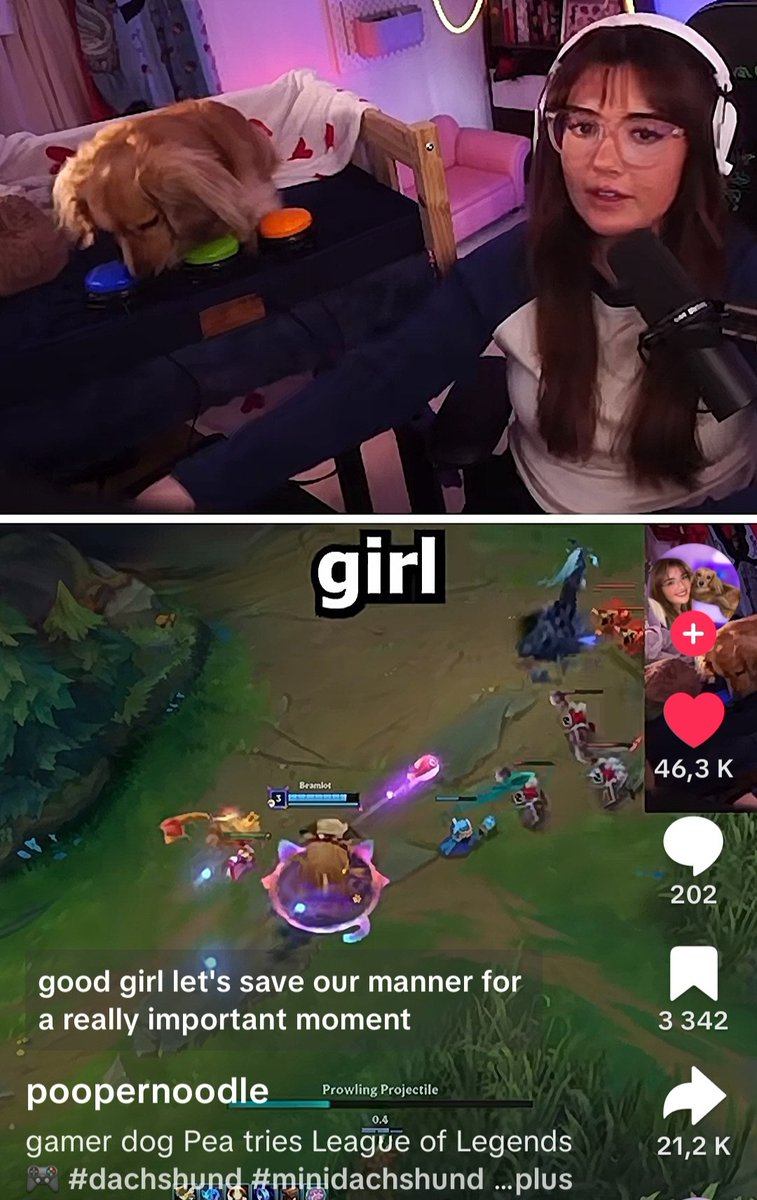 MiraiPanda 🌼 tweet media