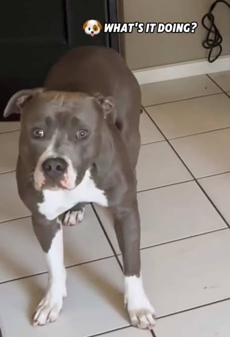 E’Twaun Paramoore tweet media