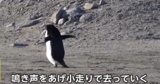 七つのちゃんぷるが支配する🍝 tweet media