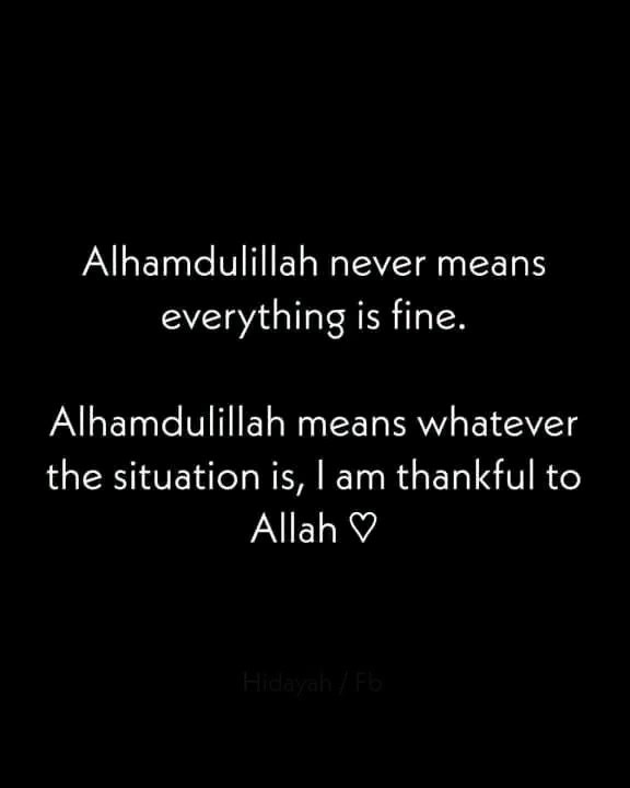 Muhammad Rehan tweet media