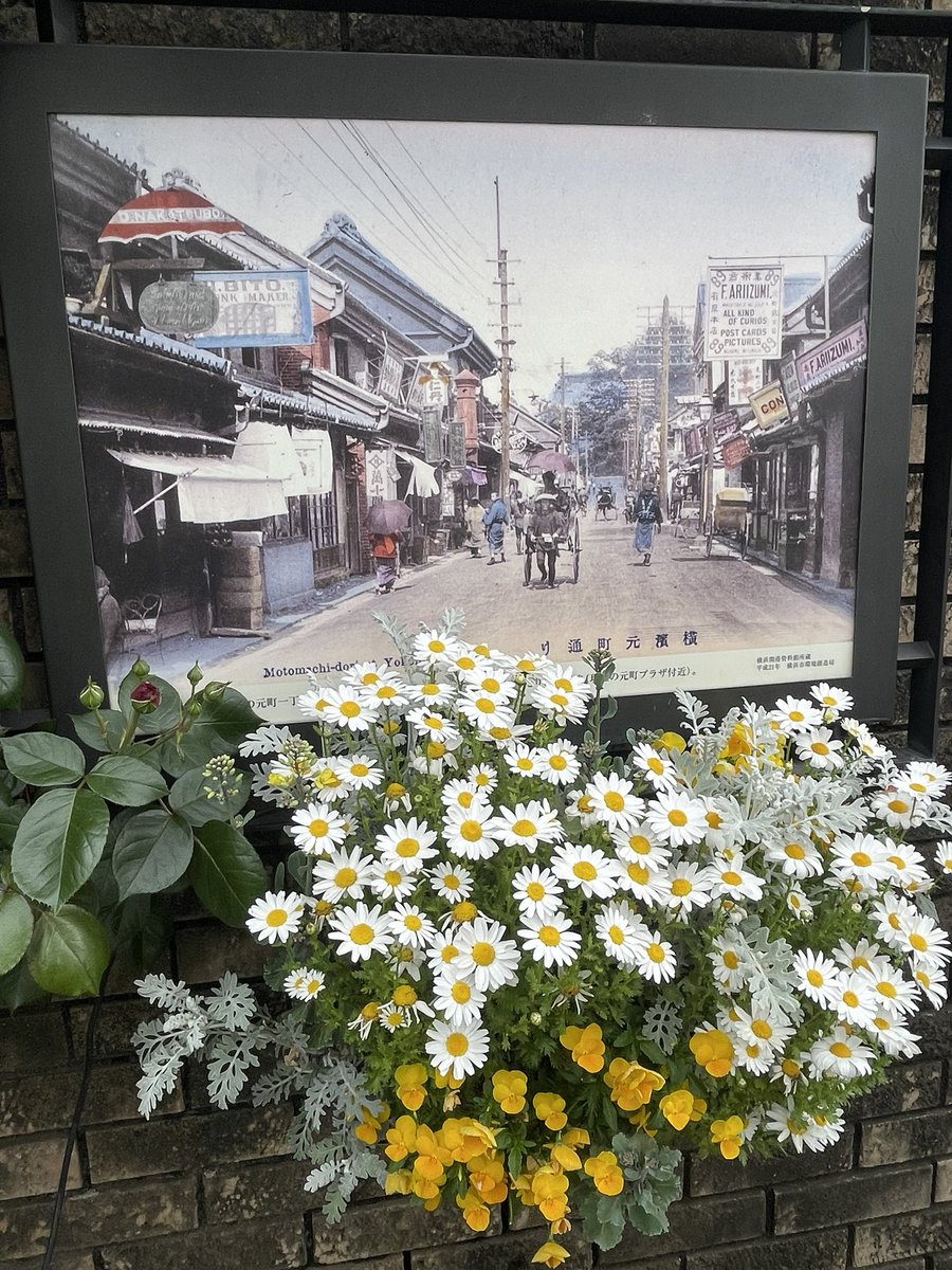 モコ姐 tweet media