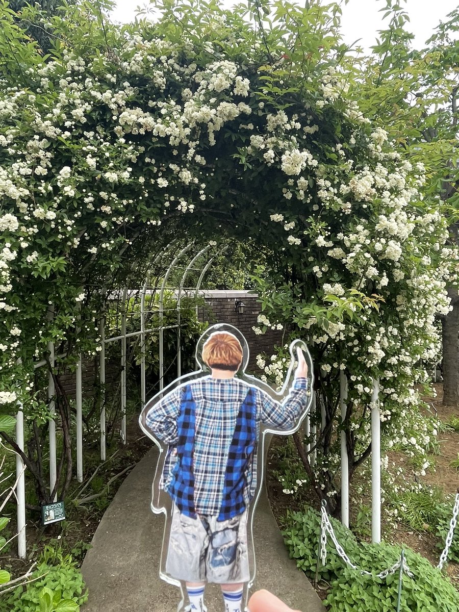 モコ姐 tweet media