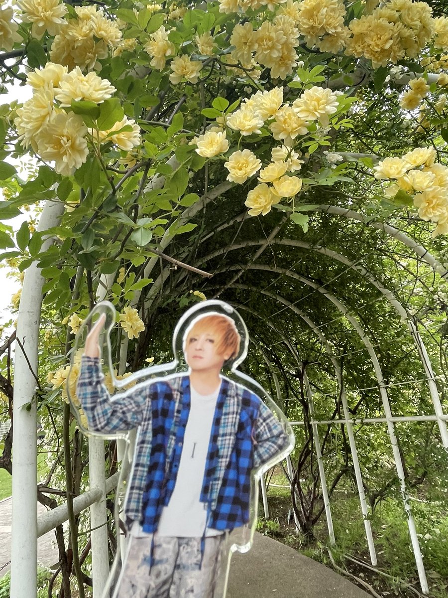 モコ姐 tweet media