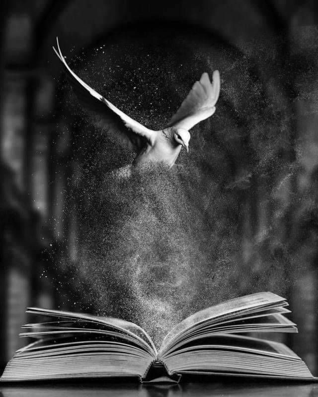 Patryk Czajkowski CSsR tweet media