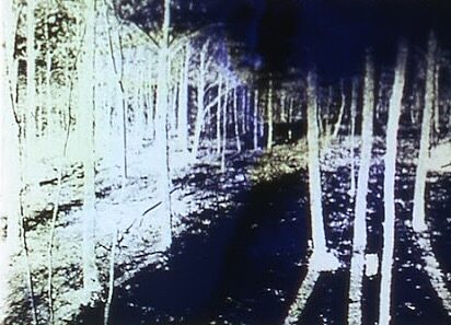 Experimental Cinema tweet media