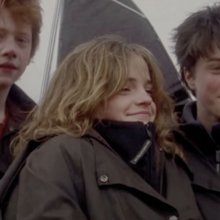 sena ᓚᘏᗢ tweet media