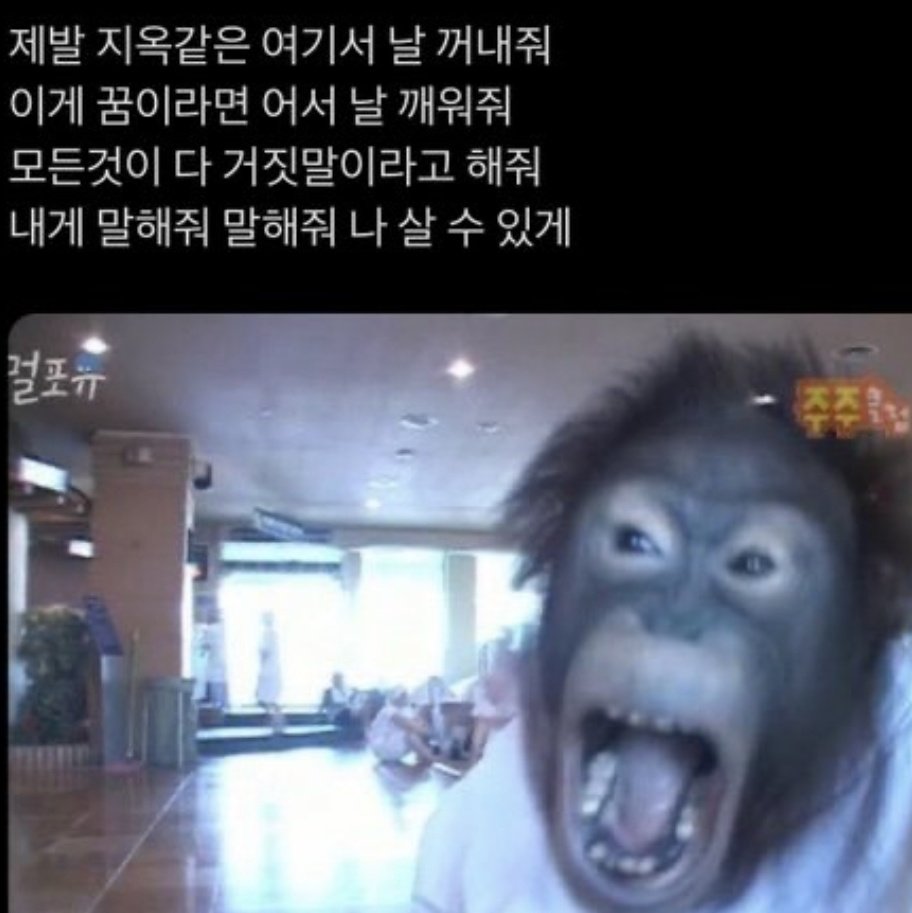 불도장 tweet media