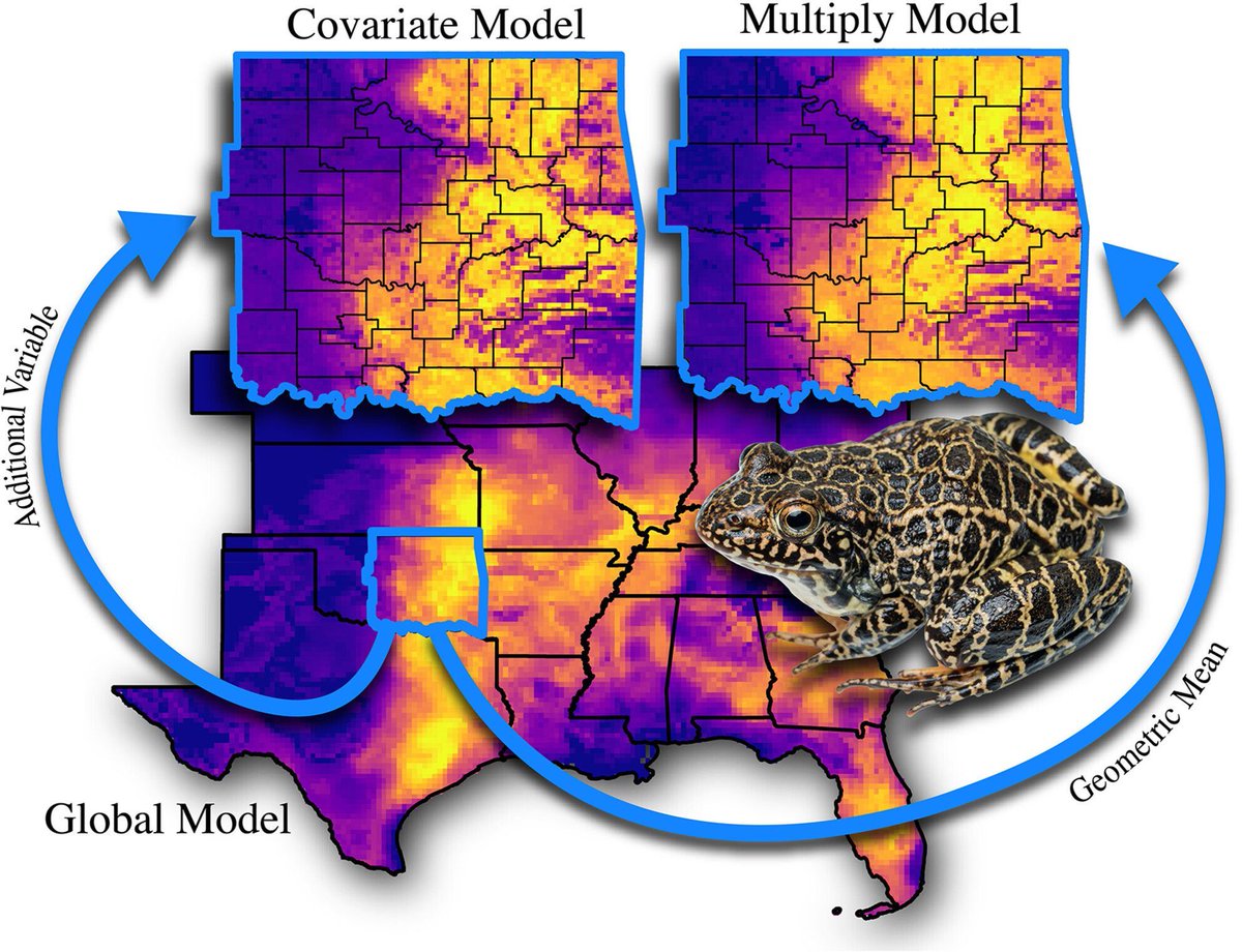 AnimalEcology's tweet photo. New research using spatially-nested hierarchical species distribution models to estimate current and future distributions of a cryptic species at a regional scale🌍 🐸 

🔎 Find out more: https://t.co/yJLGKcj1AC https://t.co/69y3GPckj5