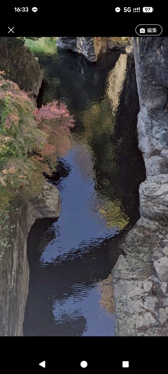 碧落 清漪 tweet media