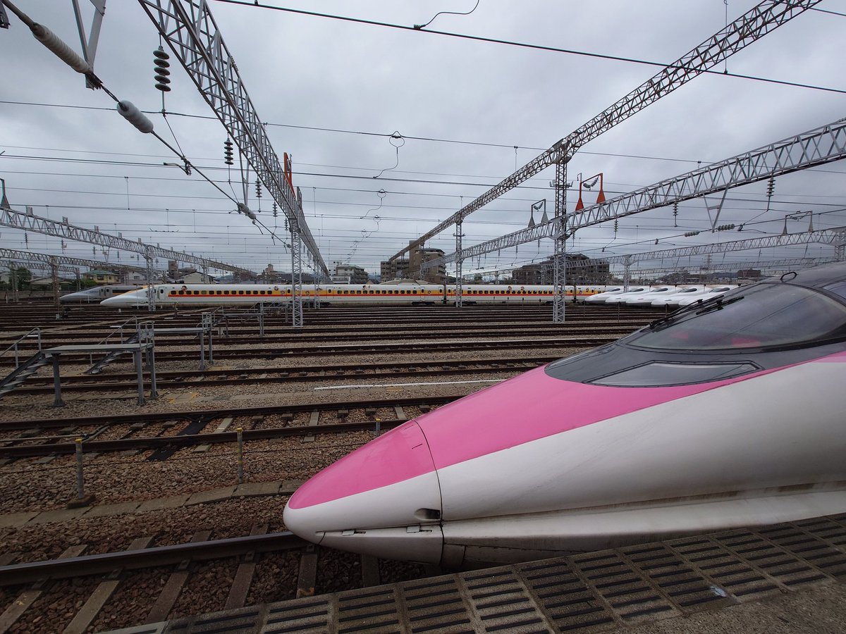 ナッツ🥜 tweet media