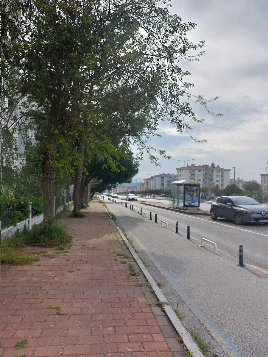 keltoş babana koş anan meşgul tweet media