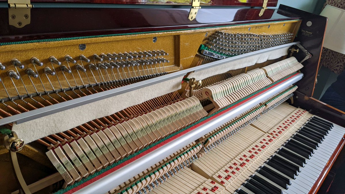 pianotunermjr's tweet photo. Tuning a Dorffman Upright Piano in Stourport-on-Severn, Wyre Forest, Worcestershirre
https://t.co/3eKeqr7UlT
#waldstein #stourportonsevern #wyreforest #piano #pianist #pianotuner #pianotuning #music #musician #dorffman https://t.co/bvnyytkODn