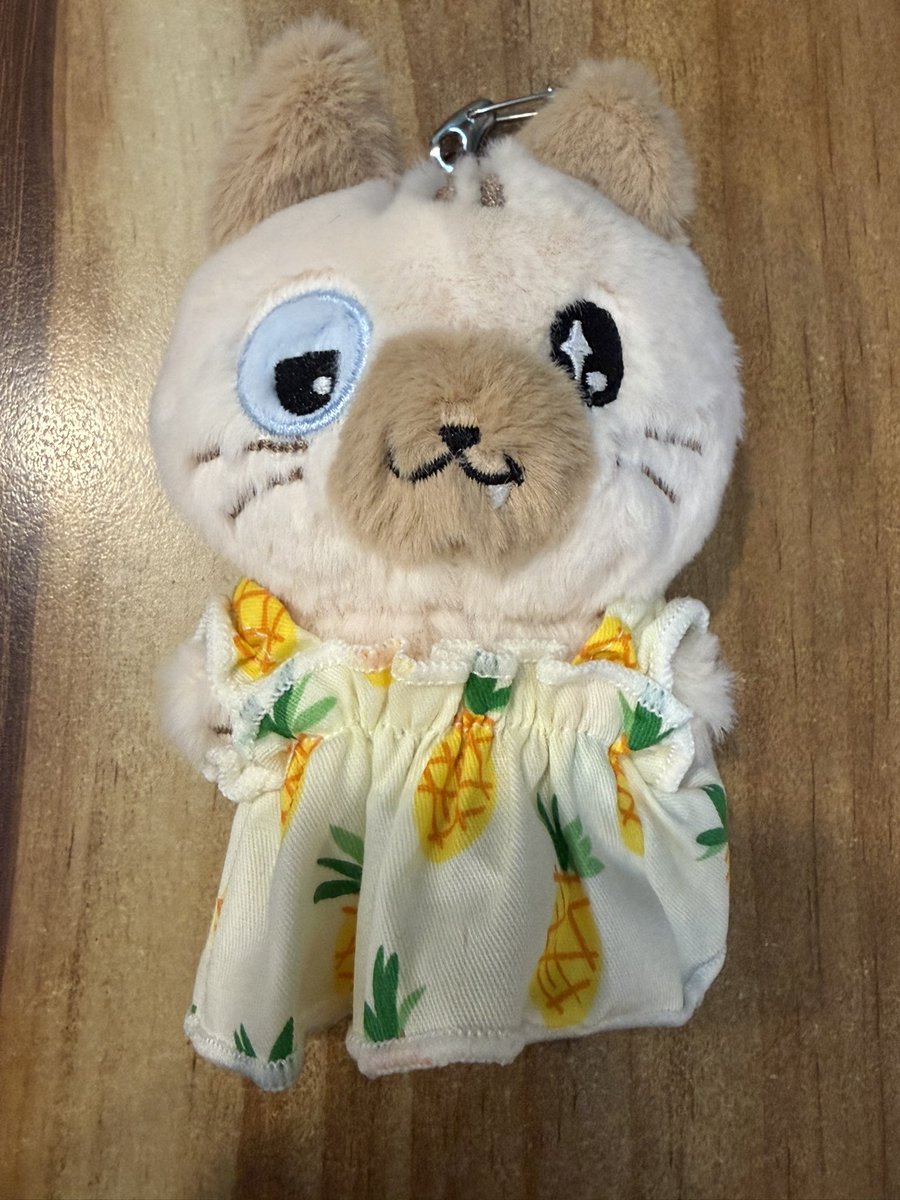 아니.. 꾸냥이 머리 겁나큰데 팔 다리는 또 짧아서 맞는 옷도 없고 꼬리 때문에... 치마 입힘.. 근데 꾸냥이 공주 맞잖아.

하 ㅠ 옷 추천 받아요.

#POW #파우 #현빈