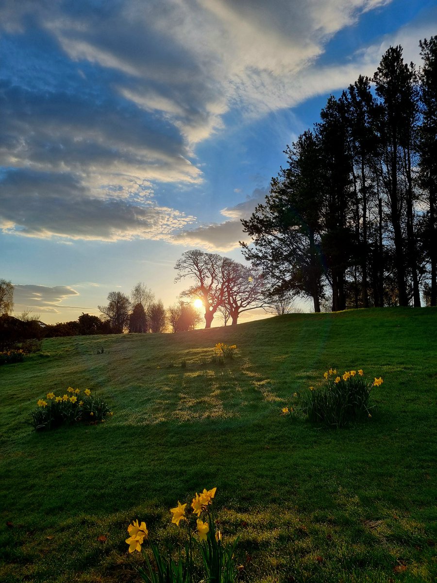 MikeMikwd's tweet image. Spring has sprung - a little bit of morning sunshine to light up the daffs - Happy Wednesday, friends 
#ScotlandisNow #StormHour #photography #photooftheday #landscape #OutAndAboutScotland #landscapephotography 
@VisitScotland @ScotsMagazine #STVSnaps #ThePhotoHour 
#sunrise