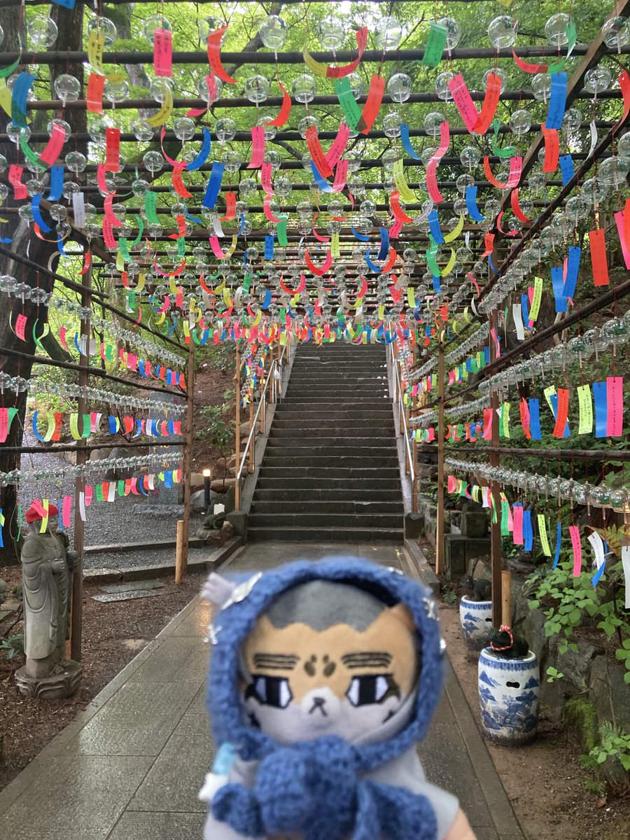 ぴP👴 tweet media